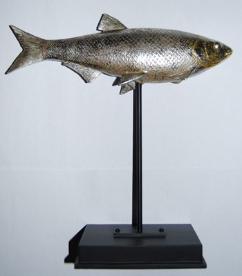 Vandoise sur socle - Sculpture Poisson