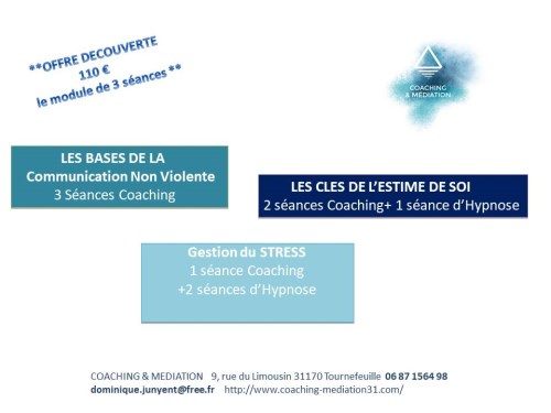 Coaching Toulouse