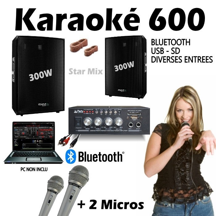 Enceinte bluetooth karaoké Star Voice avec 2 micros, Enceintes Bluetooth