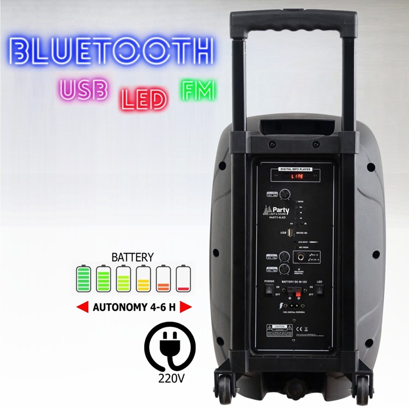 PARTY-8LED Enceinte portable 300W + Usb Bluetooth Fm Micro