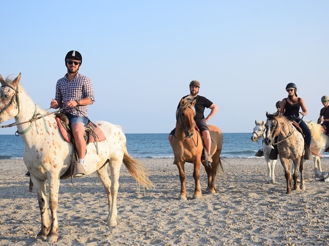 JOURNÉE DÉCOUVERTE DE LA CAMARGUE ! OUVERT EN HIVER -  à cheval en Camargue 